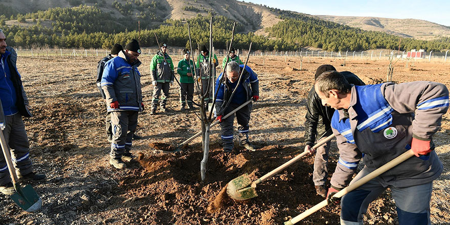 Ekoköy’de fidanlar toprakla buluştu