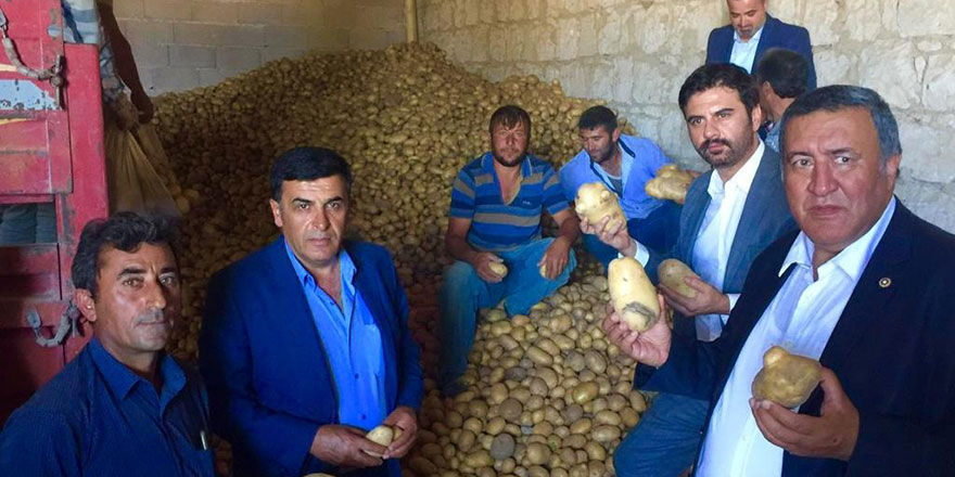 Gürer: “Patates ve soğanın ihracı engellenerek sorun çözülemez”