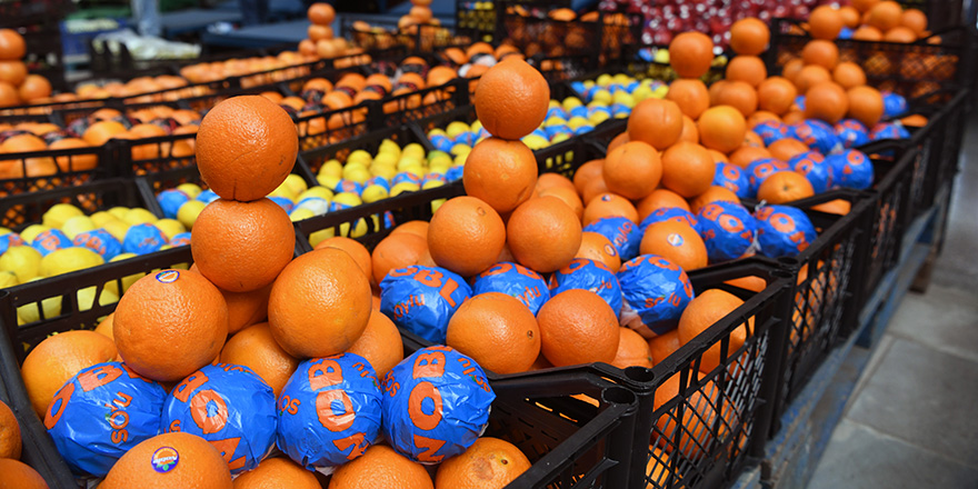 Başkent'te portakal satışı rekor kırdı