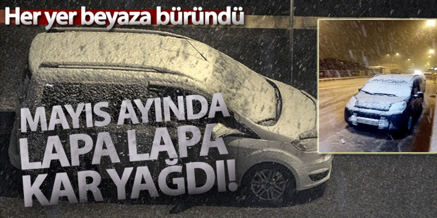 Mayıs ayında lapa lapa kar yağdı