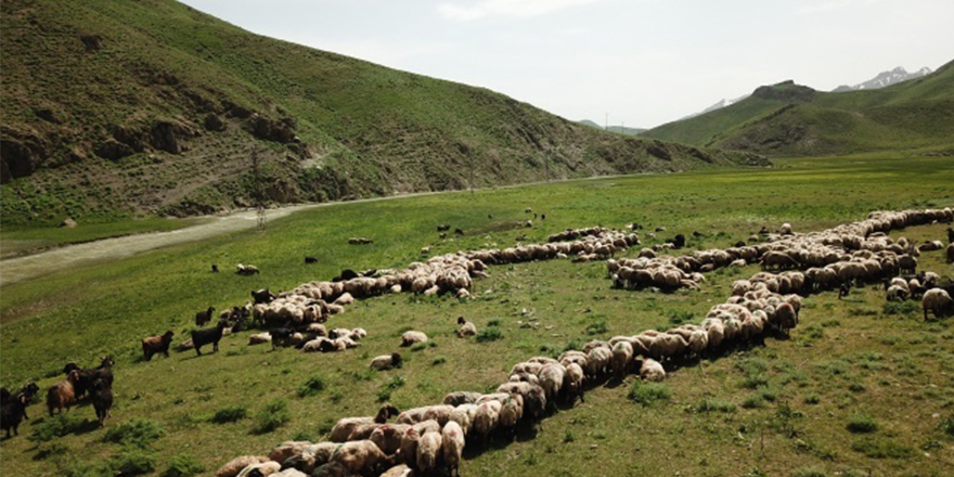 Terörün kökü kazındı yaylalar göçerlerle dolup taştı