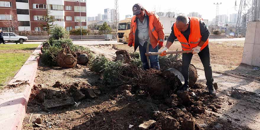 Yenimahalle parklarına detaylı bakım