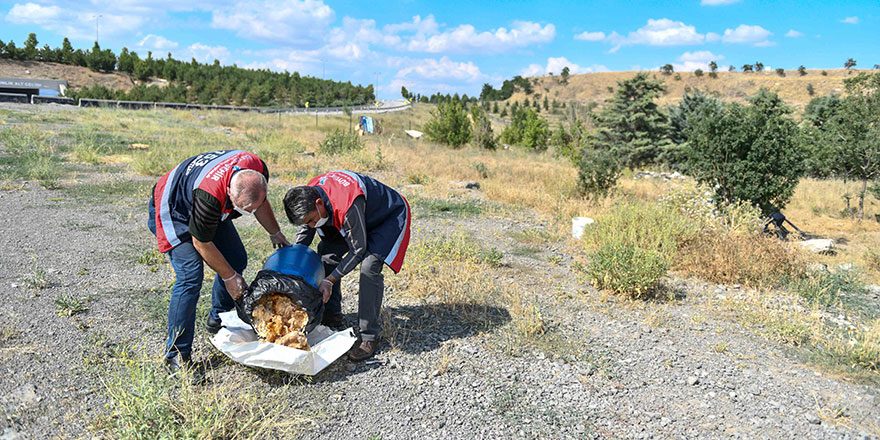 Restoranlardaki artık yiyecekler sokak hayvanlarına gidecek