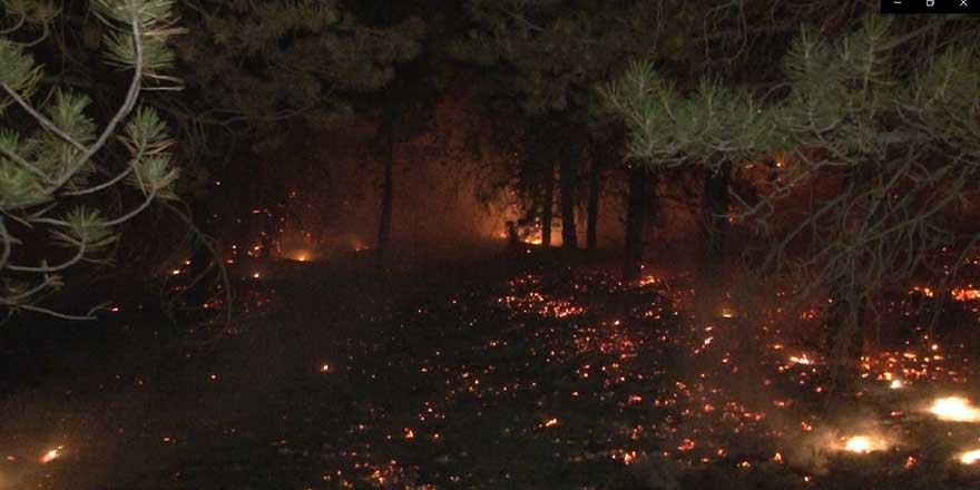 Pursaklar'da ormanlık alanda yangın