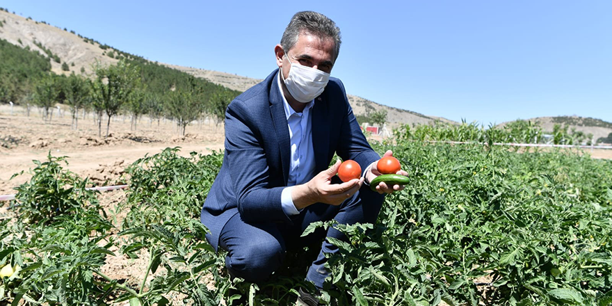 Mamak tarımda hedef büyütüyor