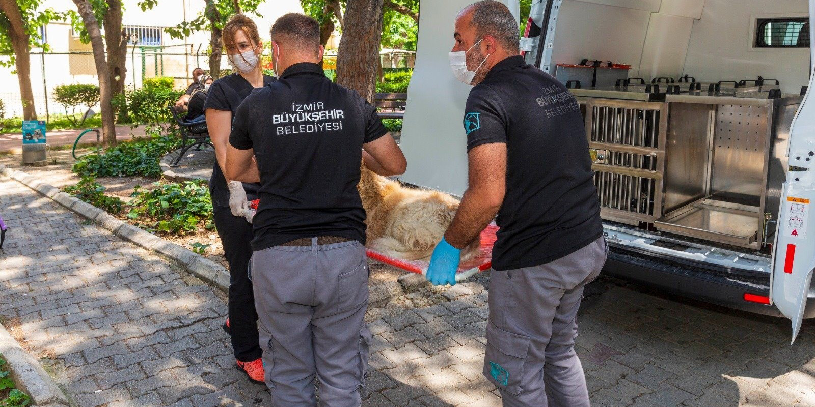 Acil Müdahale Ekibi 19 bin sokak hayvanını tedavi etti