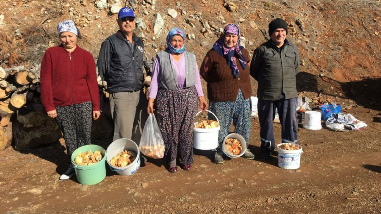 Fakirin eti çıntar için ormana akın başladı