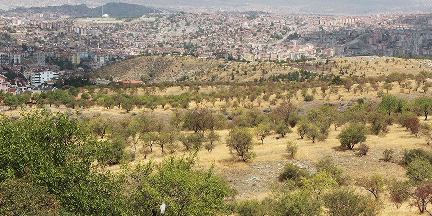 Ankara’ya yeni nefes