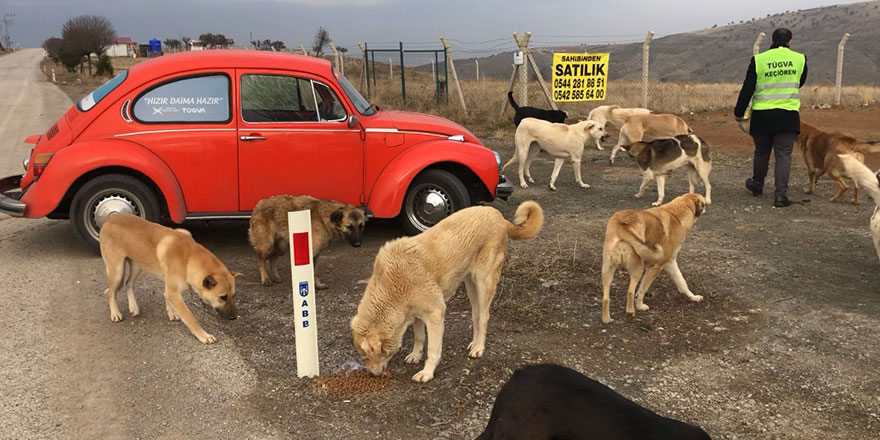 TÜGVA Keçiören “Hızır” ile sokaktaki dostların yanında