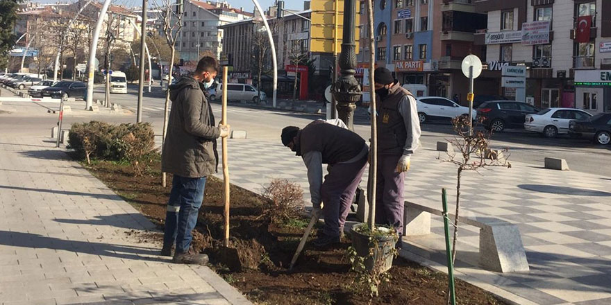 Keçiören her mevsim ağaçlandırılıyor