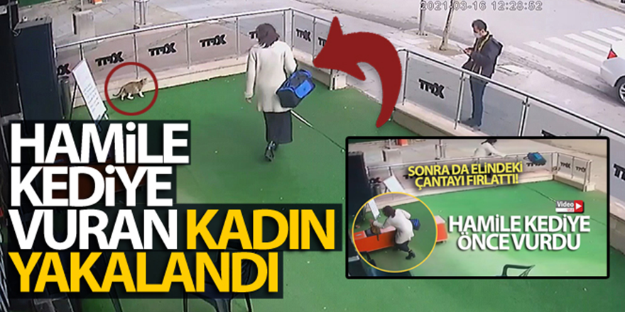 Hamile kediye vuran kadın yakalandı