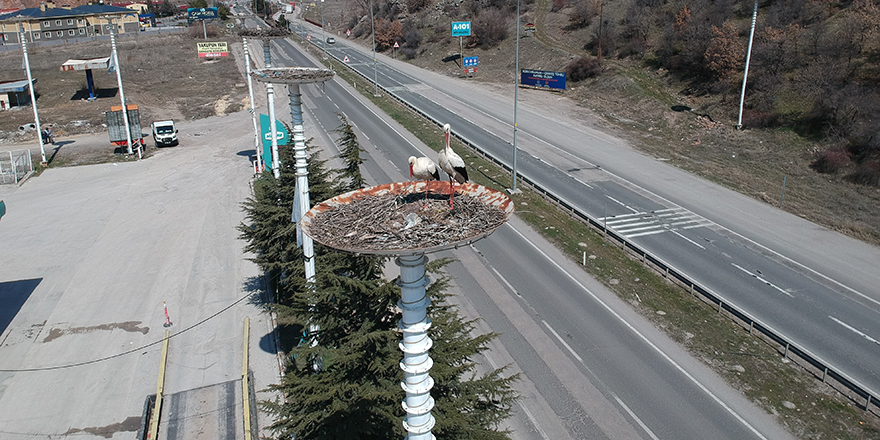 "Leylek apartmanı" sakinlerine kavuştu