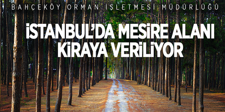 İstanbul’da mesire yeri kiraya verilecek