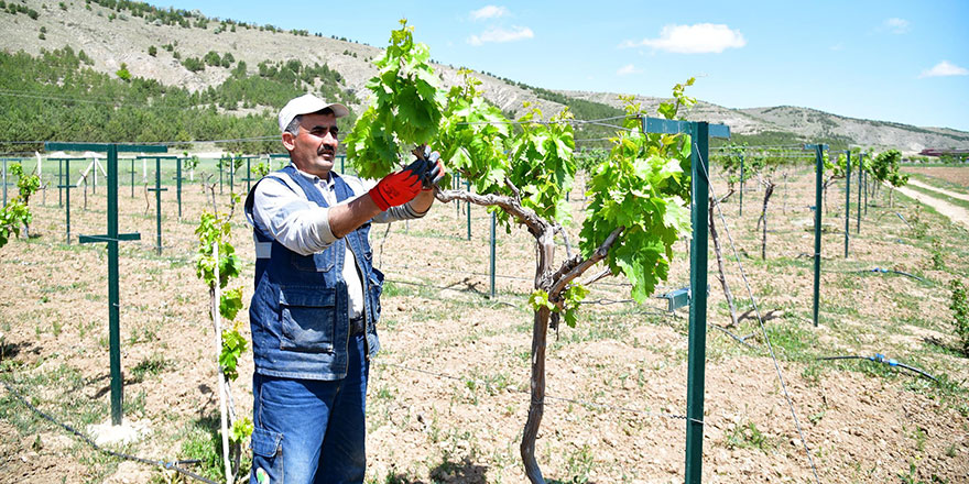 '2021 Nefes Kredisi' uygulaması başlıyor