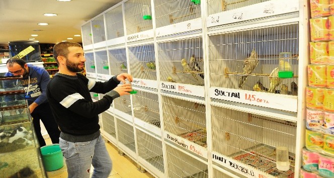 Pet shop sahiplerine sertifika eğitimi zorunlu