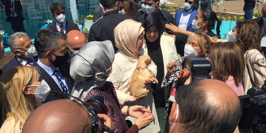 Emine Erdoğan ses telleri kesilen köpeği sanatçı Yonca Evcimik’e emanet etti