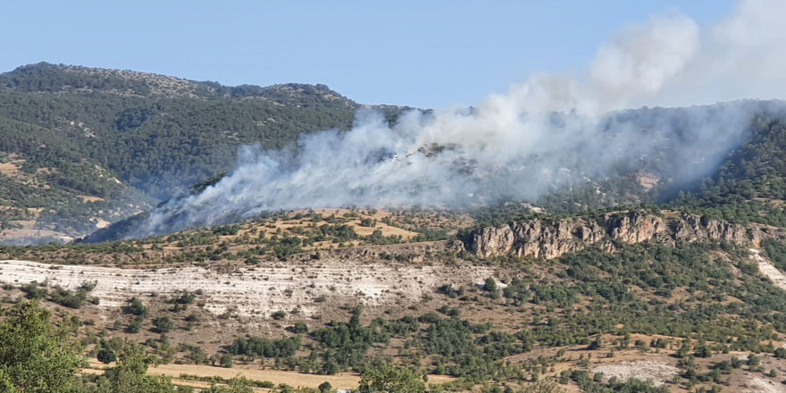 Başkent’te ormanlık alanda yangın