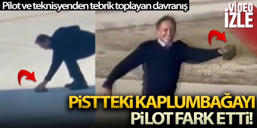 Pistte kaplumbağa gören duyarlı pilot