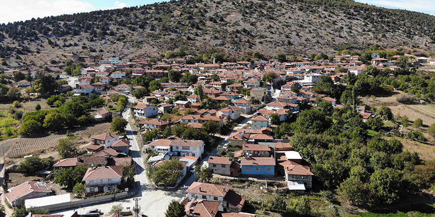 Köylülerden ilginç böbrek taşı dökme yöntemi