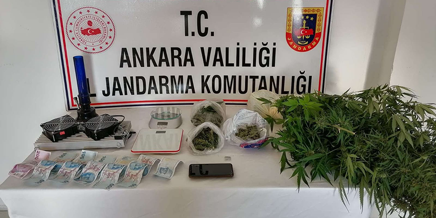 Ankara'da jandarmadan uyuşturucu operasyonu