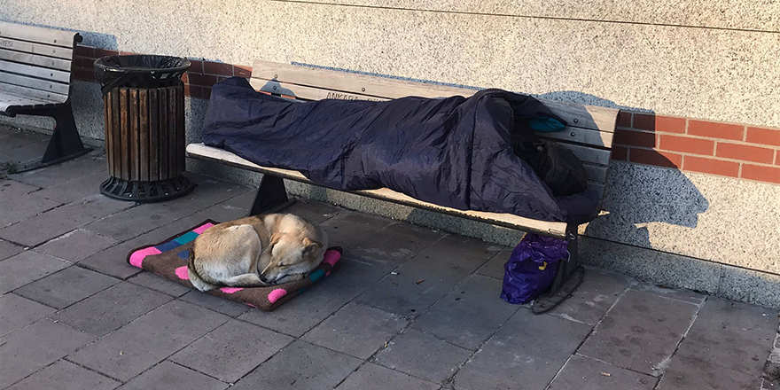 Battaniyesini sokak köpeğinin altına serdi