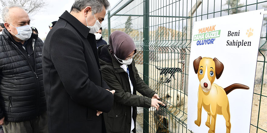 Başkan Köse hayvan barınağını denetledi