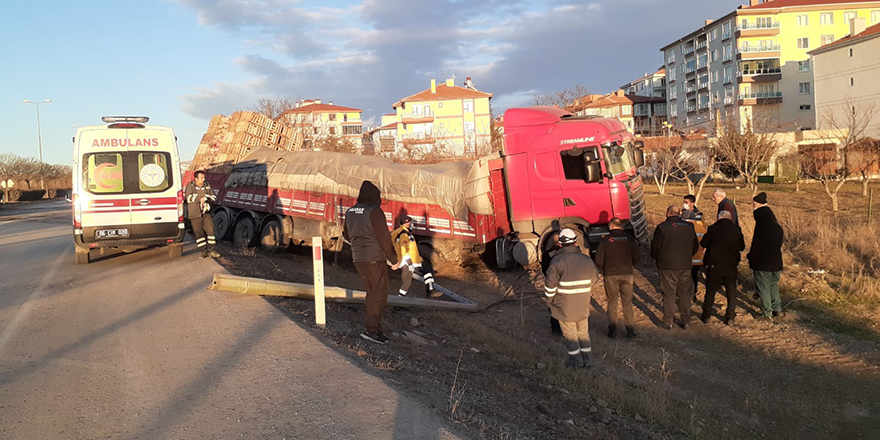 Lastikleri patlayan tır ağaç ve elektrik direğini devirdi