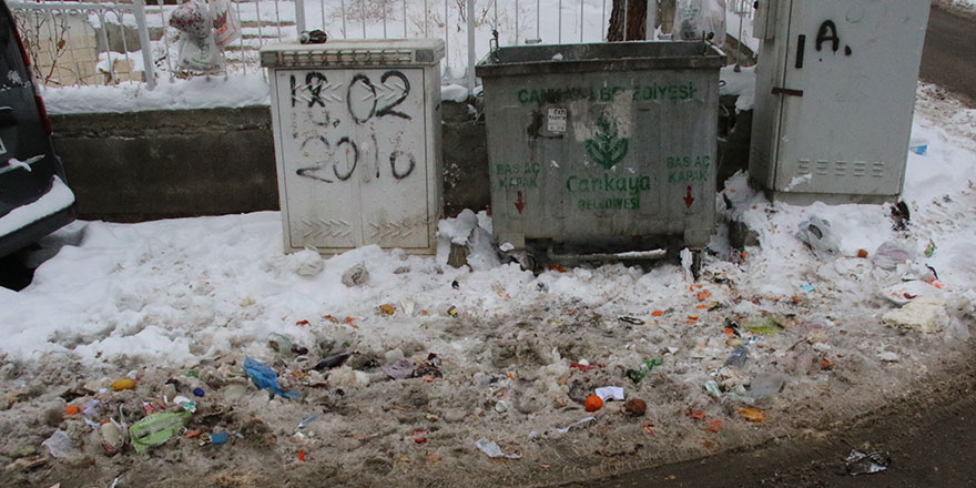 Her yer açık, Çankaya kapalı