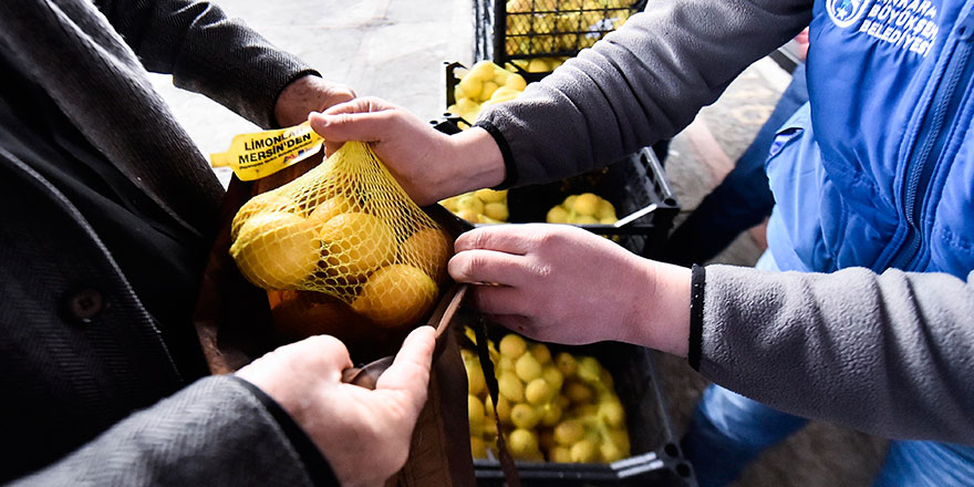 Büyükşehir ihtiyaç sahiplerine limon dağıttı