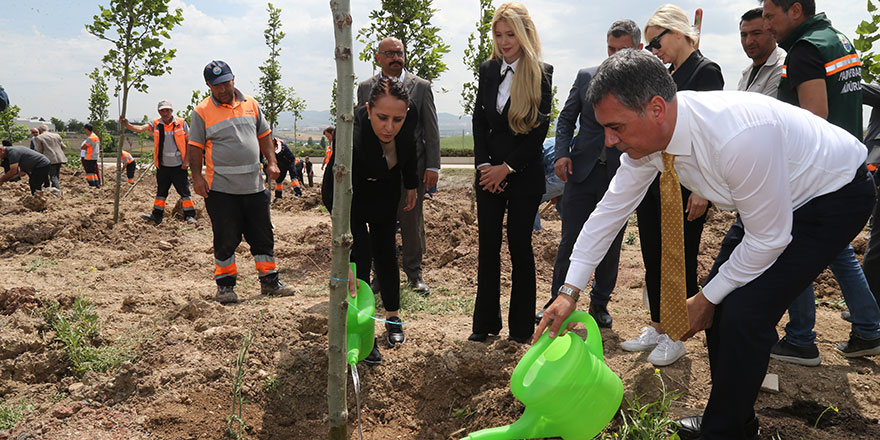 Babalar Günü’ne özel hatıra ormanı kurdular