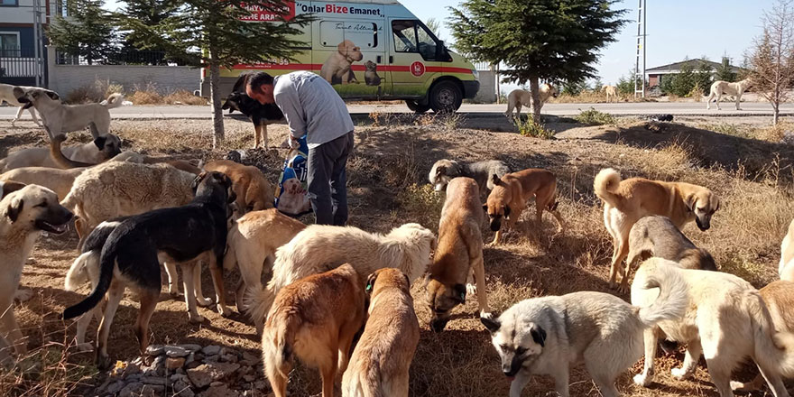 Sokak hayvanlarını unutmadılar