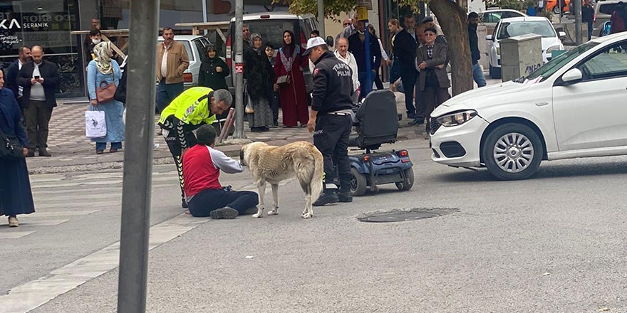 Sokak köpeği otomobilin çarptığı vatandaşın başından ayrılmadı