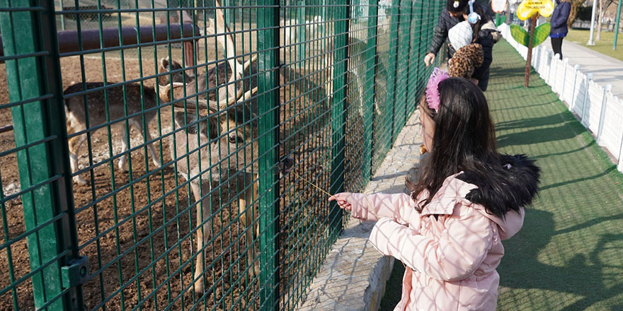 Doğal Yaşam Parkı miniklerin ilgi odağı oldu