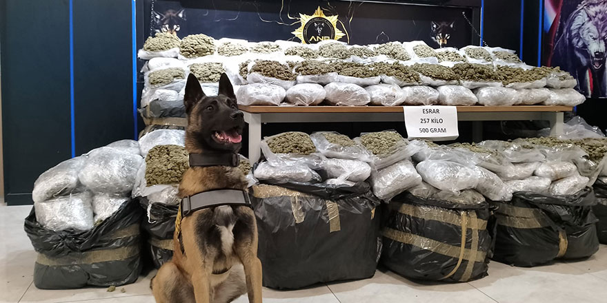 Başkentte 257 kilo 500 gram esrar ele geçirildi