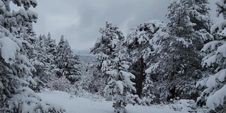 Meteoroloji'den 42 il için kar yağışı uyarısı