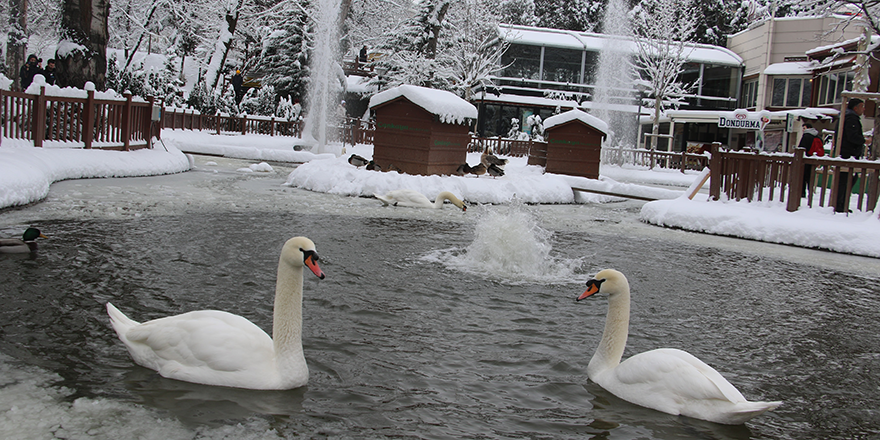 Kuğulu Park’ta kar coşkusu