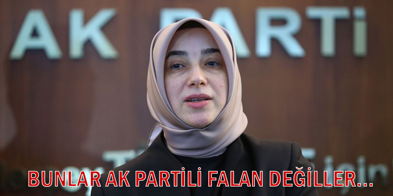 Özlem Zengin: Bunlar AK Partili falan değiller