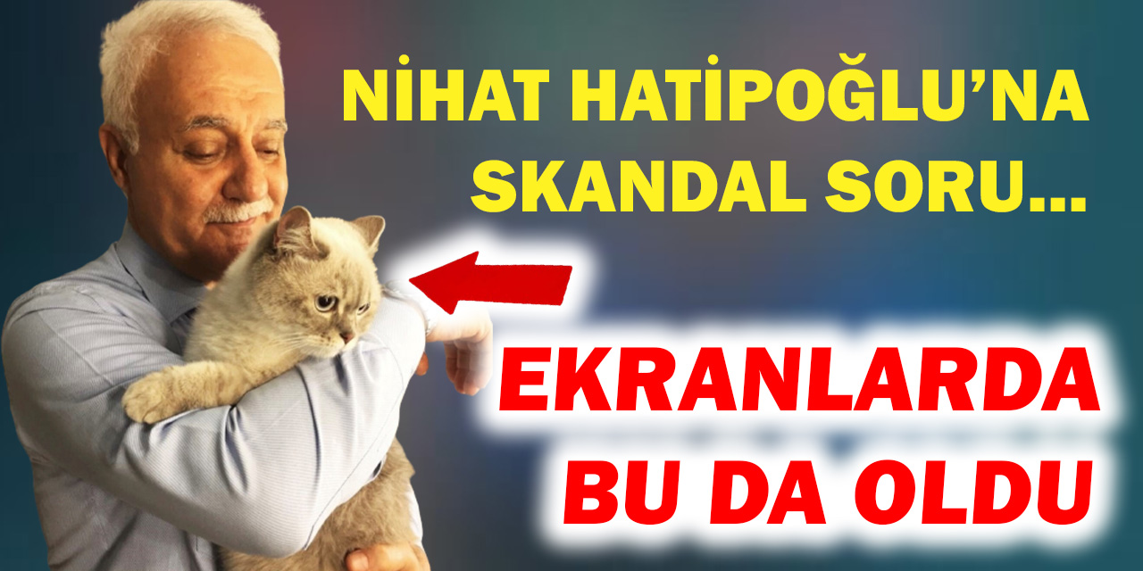Nihat Hatipoğlu'na kedi kuyruğu ile ilgili skandal soru: Hatipoğlu isyan etti