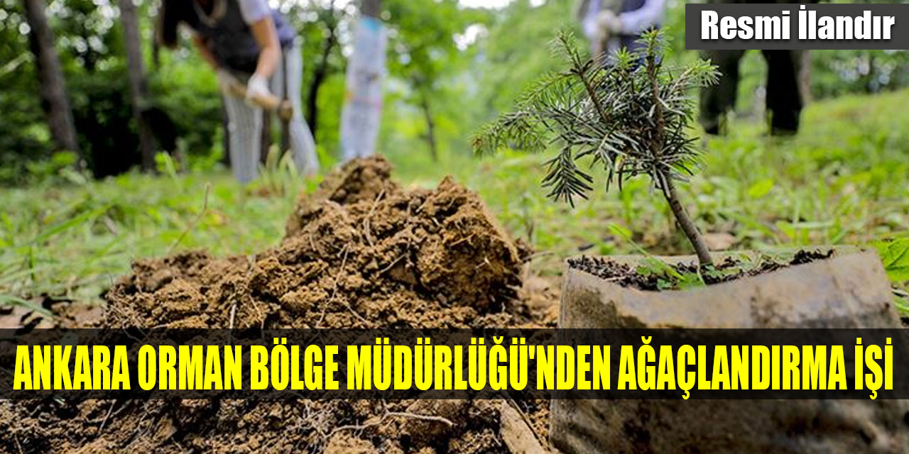 Ankara Orman Bölge Müdürlüğü'nden ağaçlandırma işi