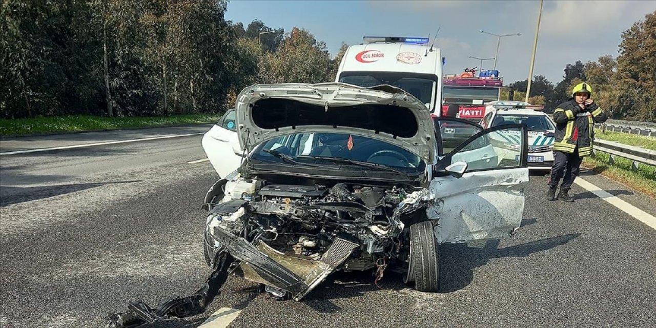 Yola çıkan geyiğe araç çarptı!