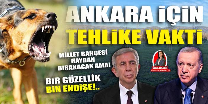 Ankara Gölbaşı’nda Millet Bahçesi heyecanı ve sokak köpeği endişesi