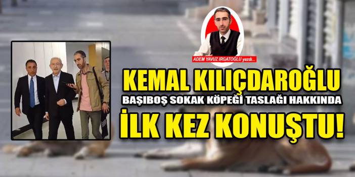 Kemal Kılıçdaroğlu, 'başıboş köpek düzenlemesi'ni anadolugazete.com.tr'ye değerlendirdi