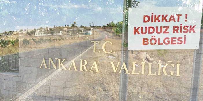 Ankara Valiliği, 35 hasta köpeğin Ankara'ya getirildiği iddiasına yönelik açıklama yaptı