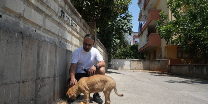 Sokak köpeğine şiddeti şikayet etti, sahibi değil diye kabul edilmedi