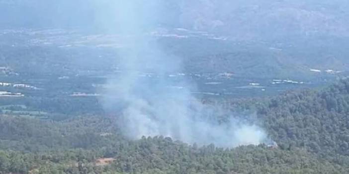 Muğla'da orman yangını!