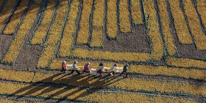 Tarımsal girdi fiyat endeksi, haziranda aylık yüzde 0,93, yıllık yüzde 47, 56 arttı