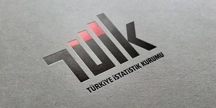 TÜİK, Ağustos 2024 Güven Endekslerini açıkladı