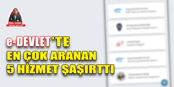 e-Devlet’te en çok aranan 5 hizmet şaşırttı