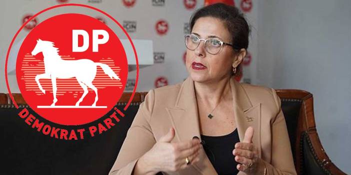 Demokrat Parti'de 'kongreye 2 kala' yeni aday: İlay Aksoy adaylığını açıkladı!