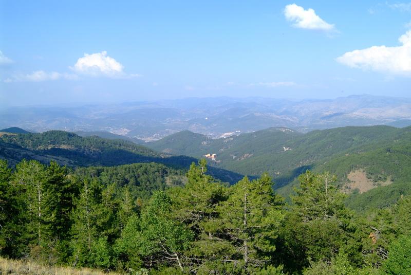 kizilcahamam-soguksu-milli-parki-ankara-soguk-su-park-orman-temiz-hava-piknik-tavsiye-ailecek.jpg